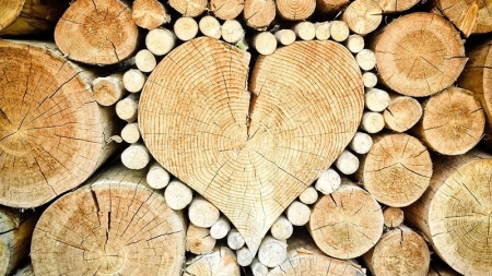 Schachprodukte aus Holz: Die Natur macht, was sie will