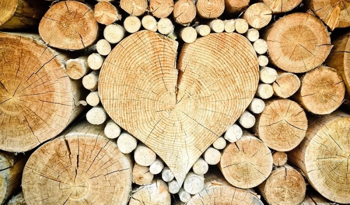 Schachprodukte aus Holz: Die Natur macht, was sie will