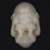 Avatar von smkl