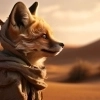 Avatar von Marco W. 