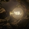 Avatar von Monstera