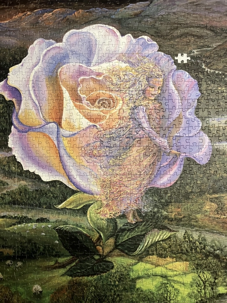 Adrift - Josephine Wall - Bilderupload von Kunden