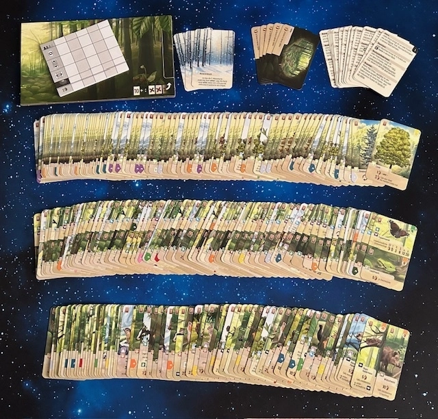 Mischwald - Bilderupload von Kunden