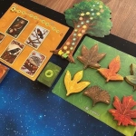 Herbstlaub - Bilderupload von Kunden