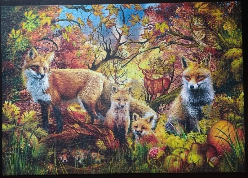 Spirit of Autumn - Bilderupload von Kunden