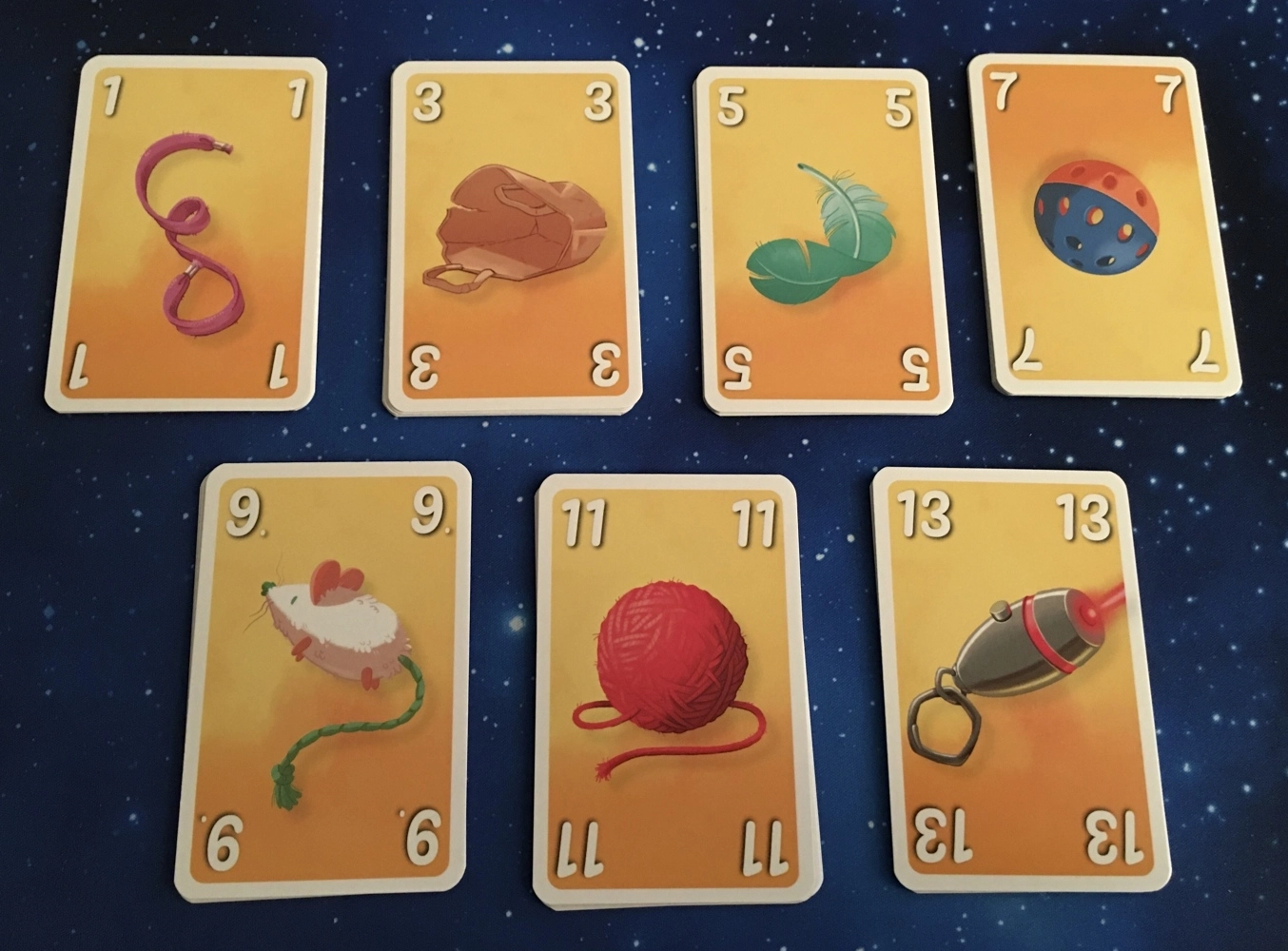Fisch & Flausch - Bilderupload von Kunden