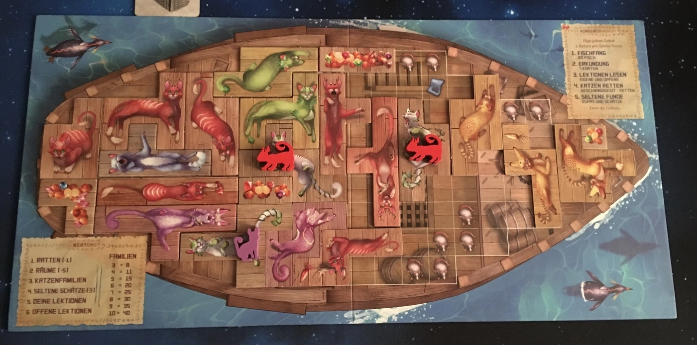 Die Insel der Katzen - Bilderupload von Kunden