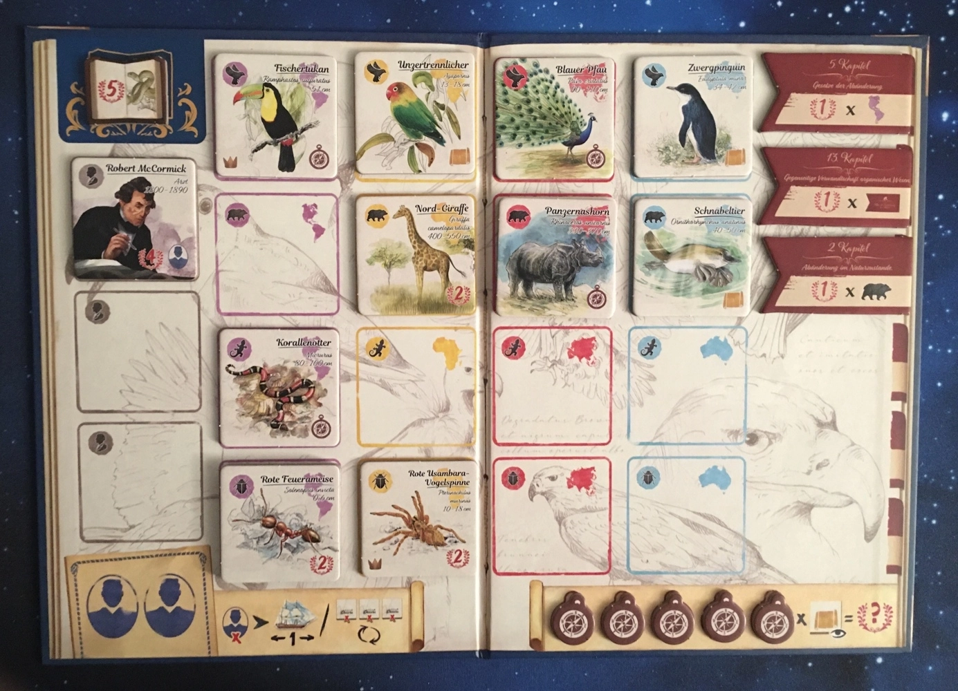 Auf den Wegen von Darwin - Bilderupload von Kunden