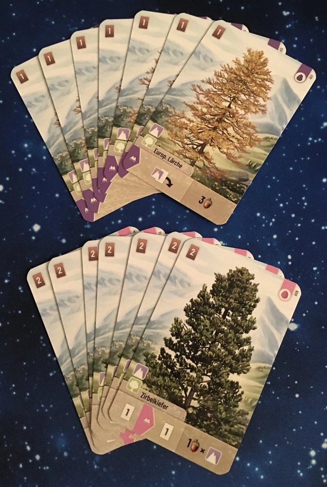 Mischwald - Alpin - Erweiterung - Bilderupload von Kunden