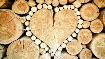 Schachprodukte aus Holz: Die Natur macht, was sie will