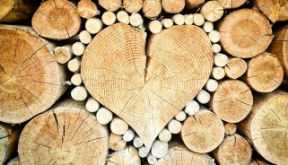 Schachprodukte aus Holz: Die Natur macht, was sie will