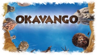 Spiel der Woche #77: Okavango