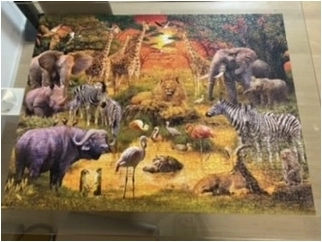 Versammlung am Wasserloch - Cutomer image uplaod