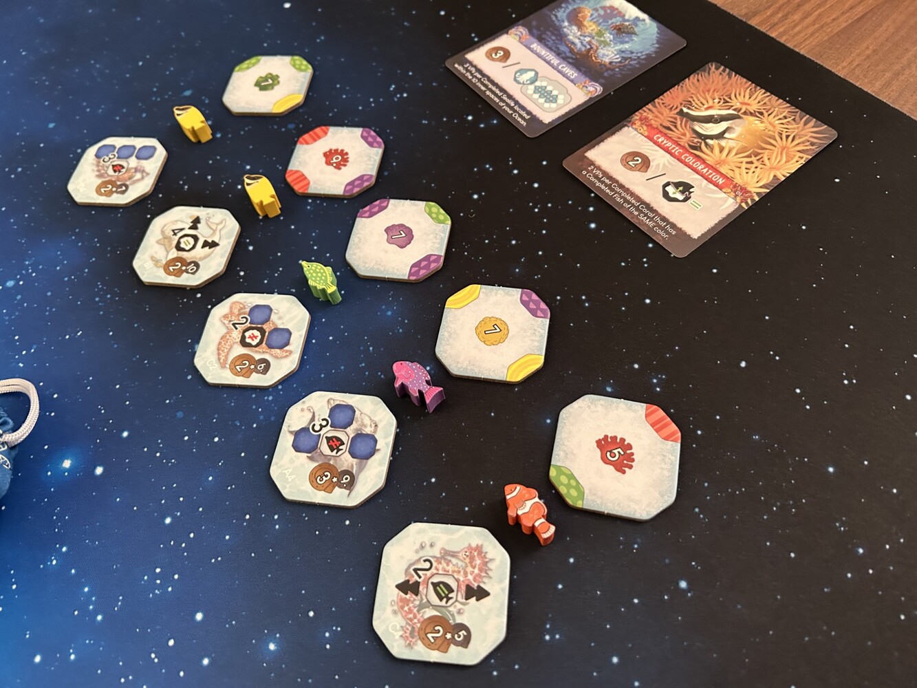 Shallow Sea - EN - Cutomer image uplaod