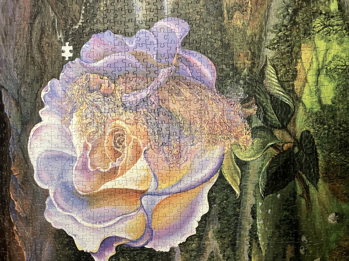 Adrift - Josephine Wall - Customer image upload