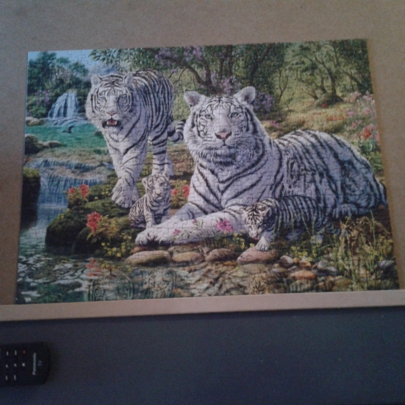 Weisse Raubkatze - Cutomer image uplaod