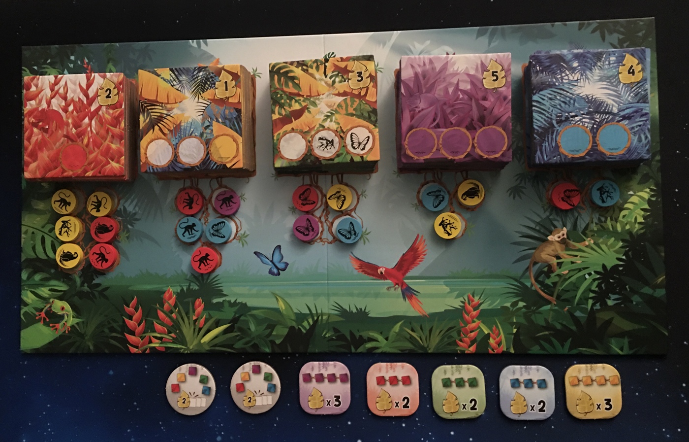 Rainforest - Customer image upload