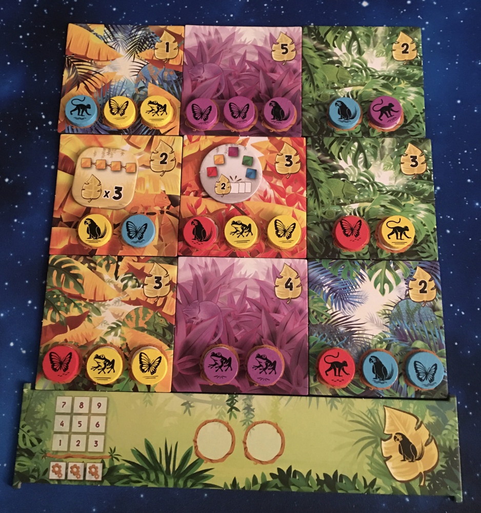 Rainforest - Customer image upload