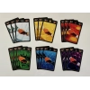 Lost Cities - Das Duell - Customer image upload