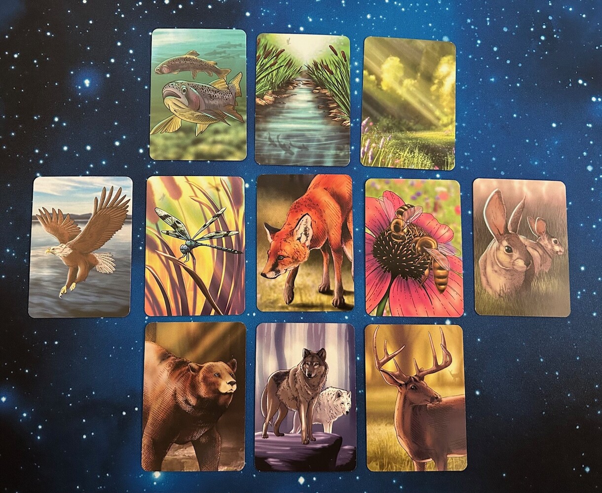 Ökosystem - Customer image upload