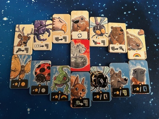 Solstis - DE - Cutomer image uplaod