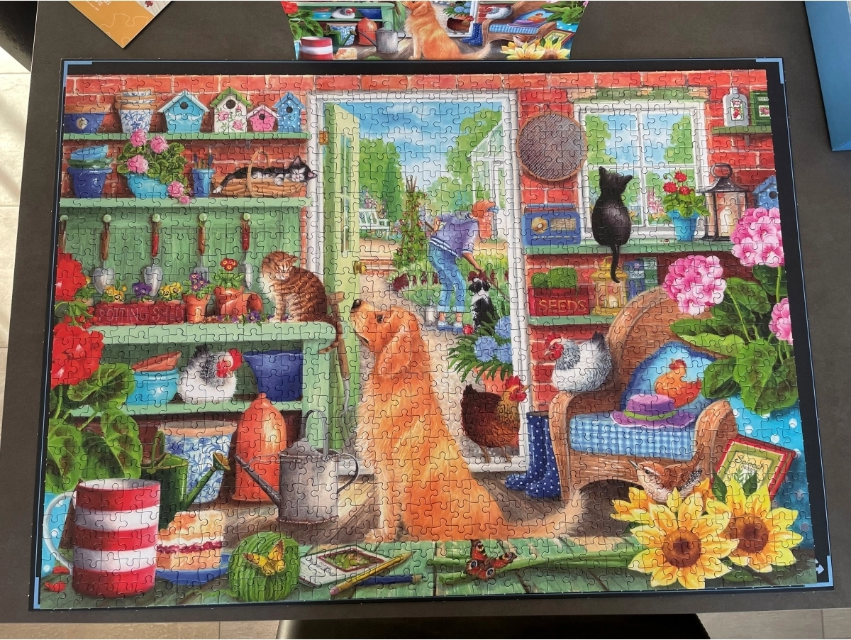 The Potting Bench - Claire Comerford - Customer image upload