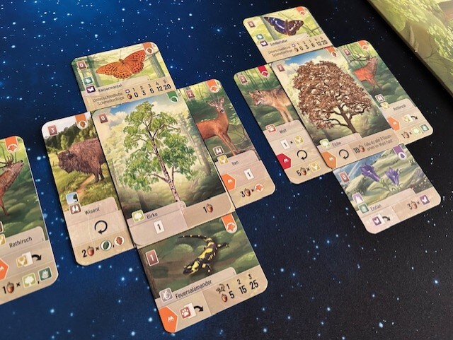 Mischwald - Customer image upload