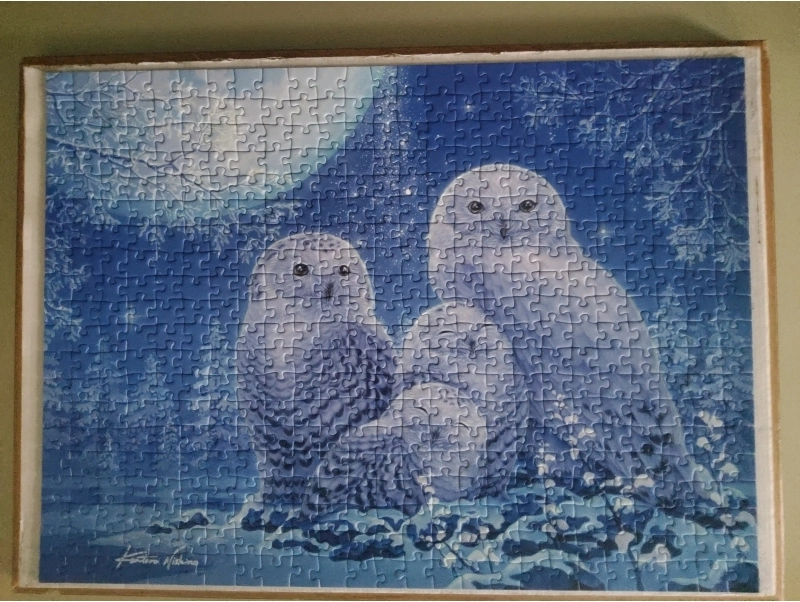 Eulen im Mondschein - Customer image upload