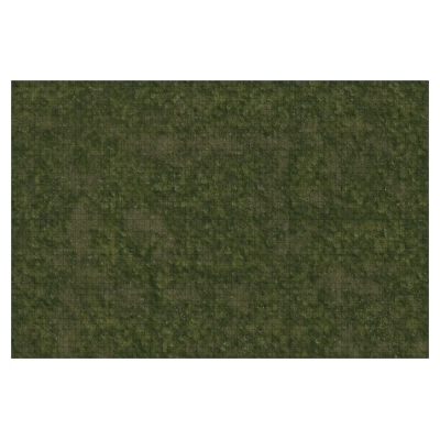 D&D Icons of the Realms: Grasslands Battle Mat