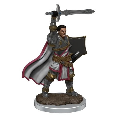 D&D Icons of the Realms Premium Figures: Male Human Paladin