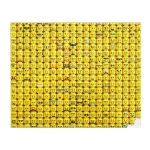 LEGO Gesichter