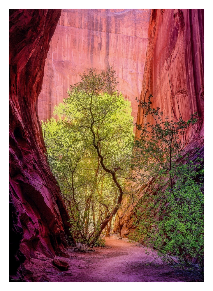 Signing Canyon - Power of Nature