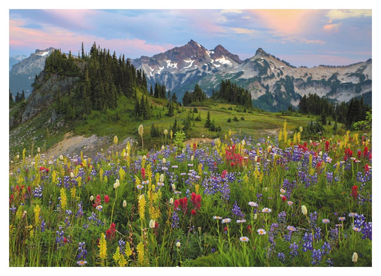 Tatoosh Mountains