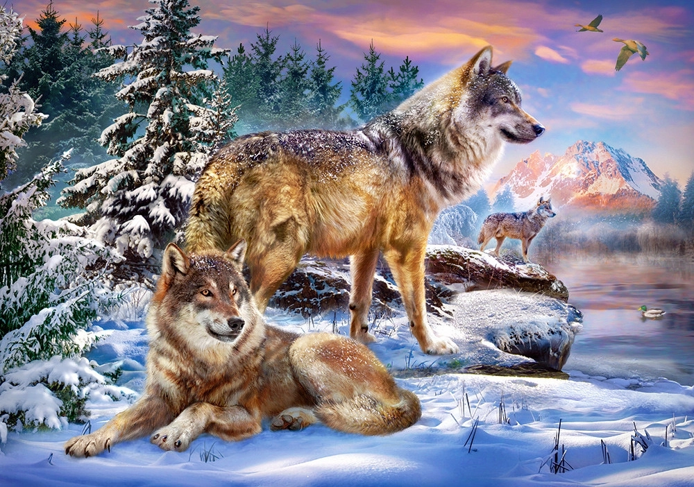 Wolfish Wonderland