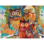 Owls