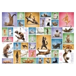 Collage - Yoga Katzen