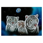 Schim Schimmel - Gentle Family