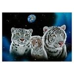 Schim Schimmel - Gentle Family