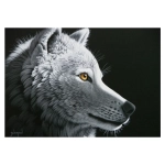 Wolf Light - Schim Schimmel