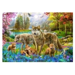 Spring Wolf Family