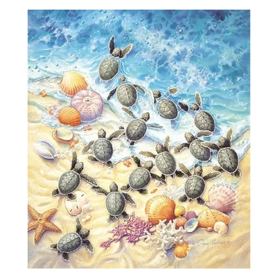 Green Turtle Hatchlings - Sherry Vintson