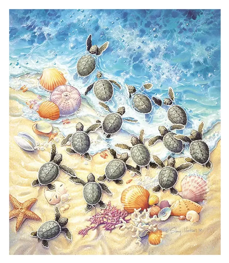 Green Turtle Hatchlings - Sherry Vintson