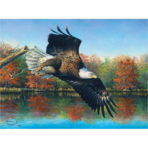 Wetlands Eagle - Abraham Hunter