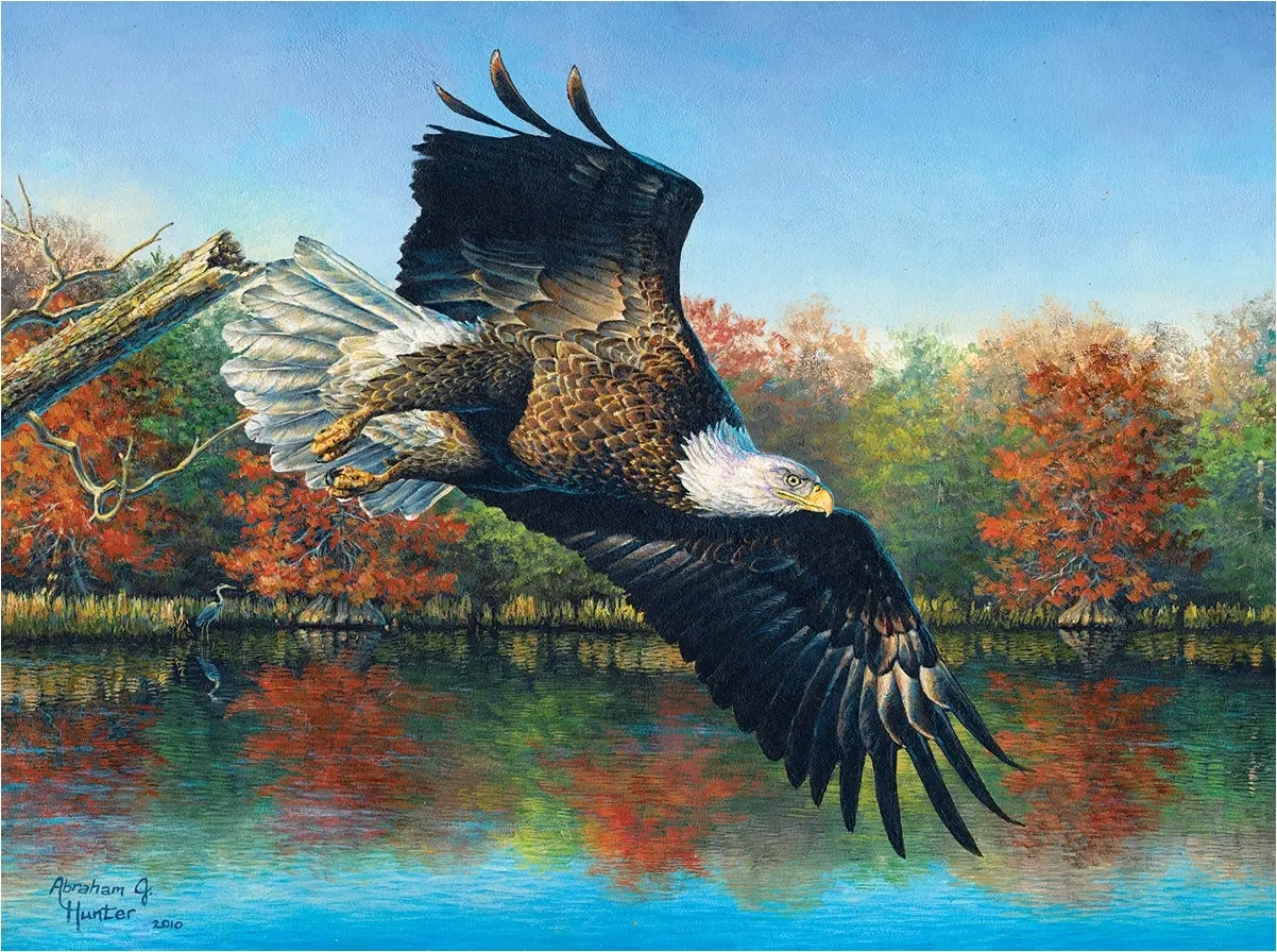 Wetlands Eagle - Abraham Hunter
