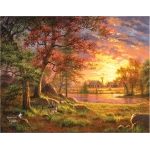 Abraham Hunter - A Place to Call Home