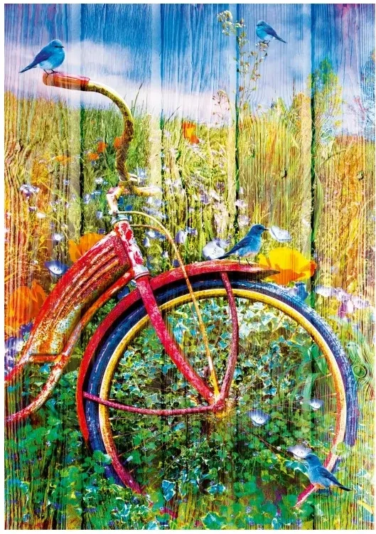 Bluebirds on a Bicycle