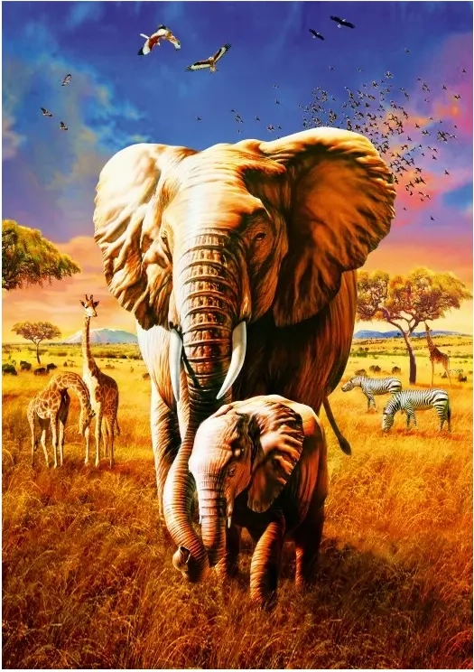 Elephant
