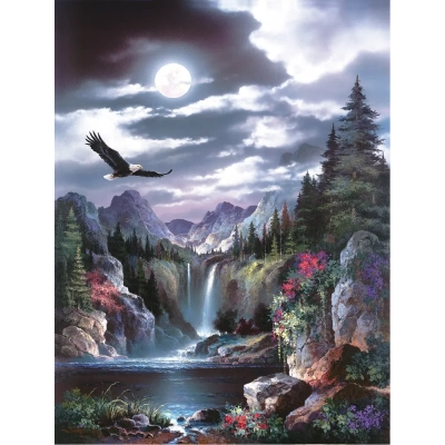 Moonlit Eagle - James Lee
