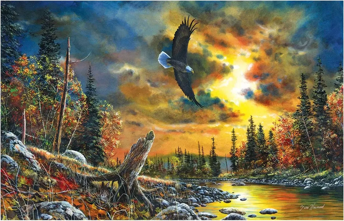 Sky Watcher