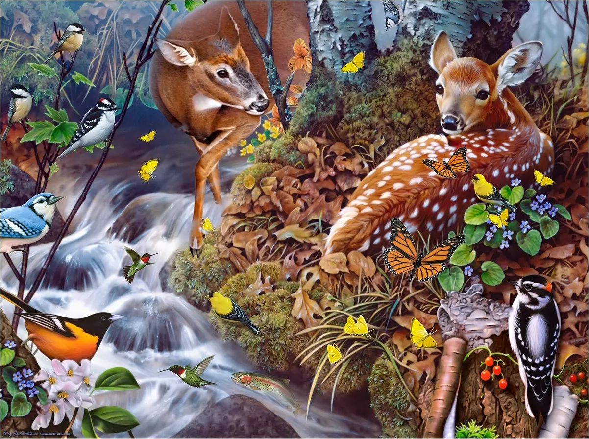 Fawn Song - Jerry Gadamus